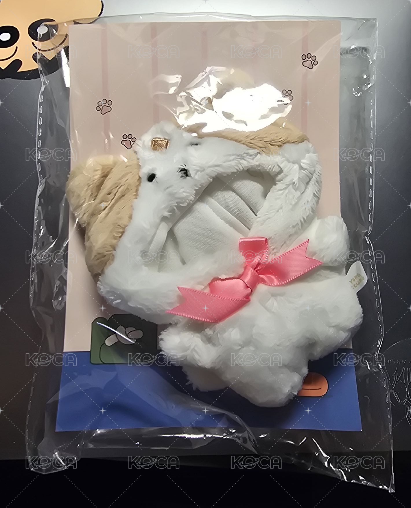 容琪