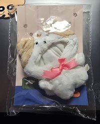 容琪