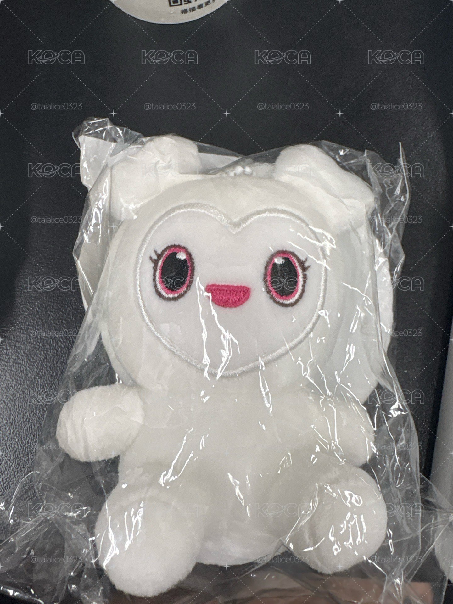 多賢磁吸娃