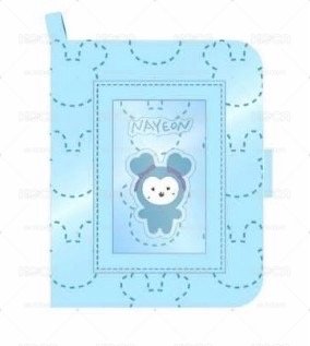 TWICE 日本9週年小卡冊 娜璉 無小卡