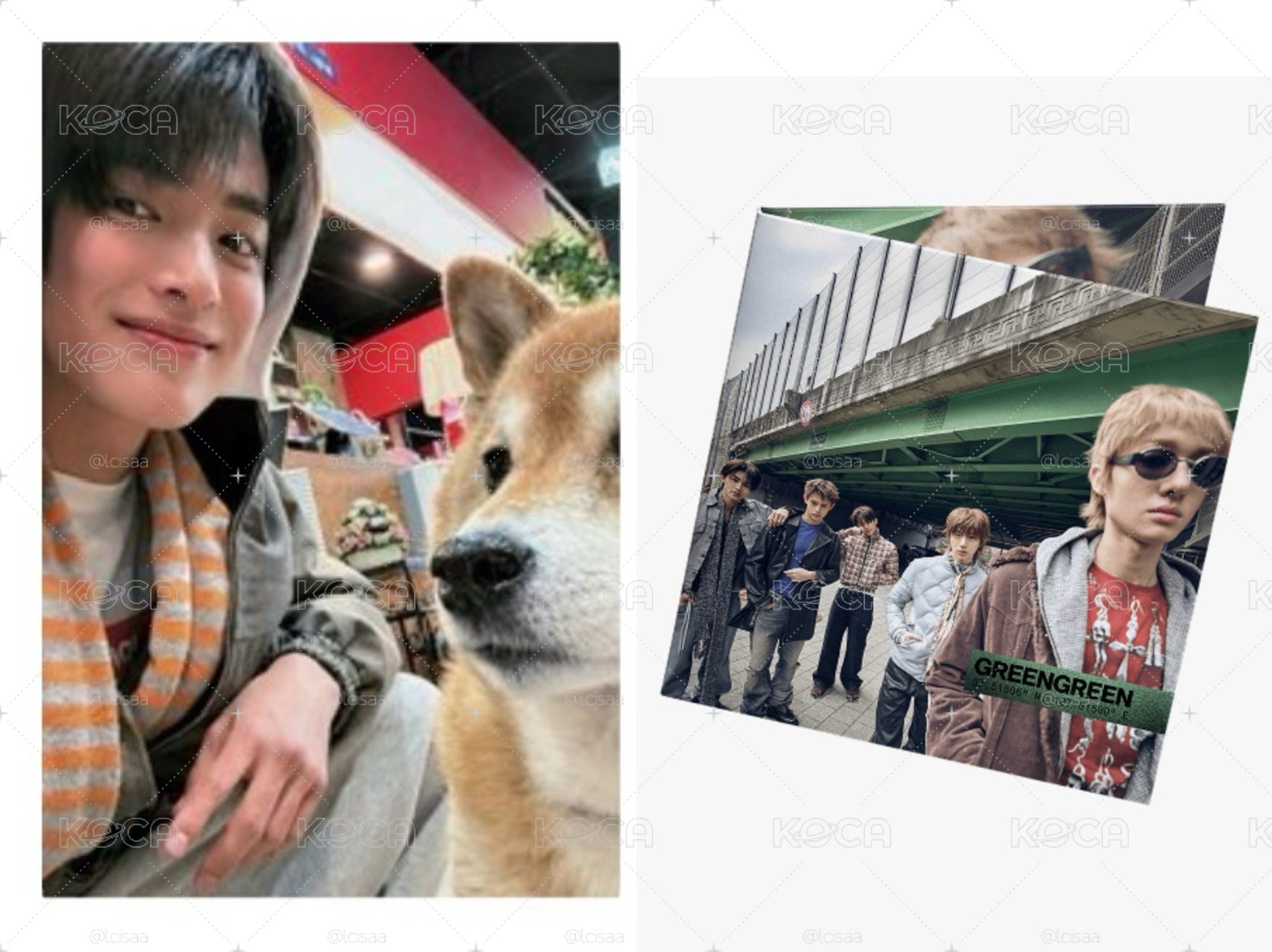 🐶鎬+黑膠