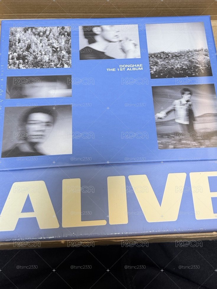 ALIVE PB ver. 專輯  東海 sj