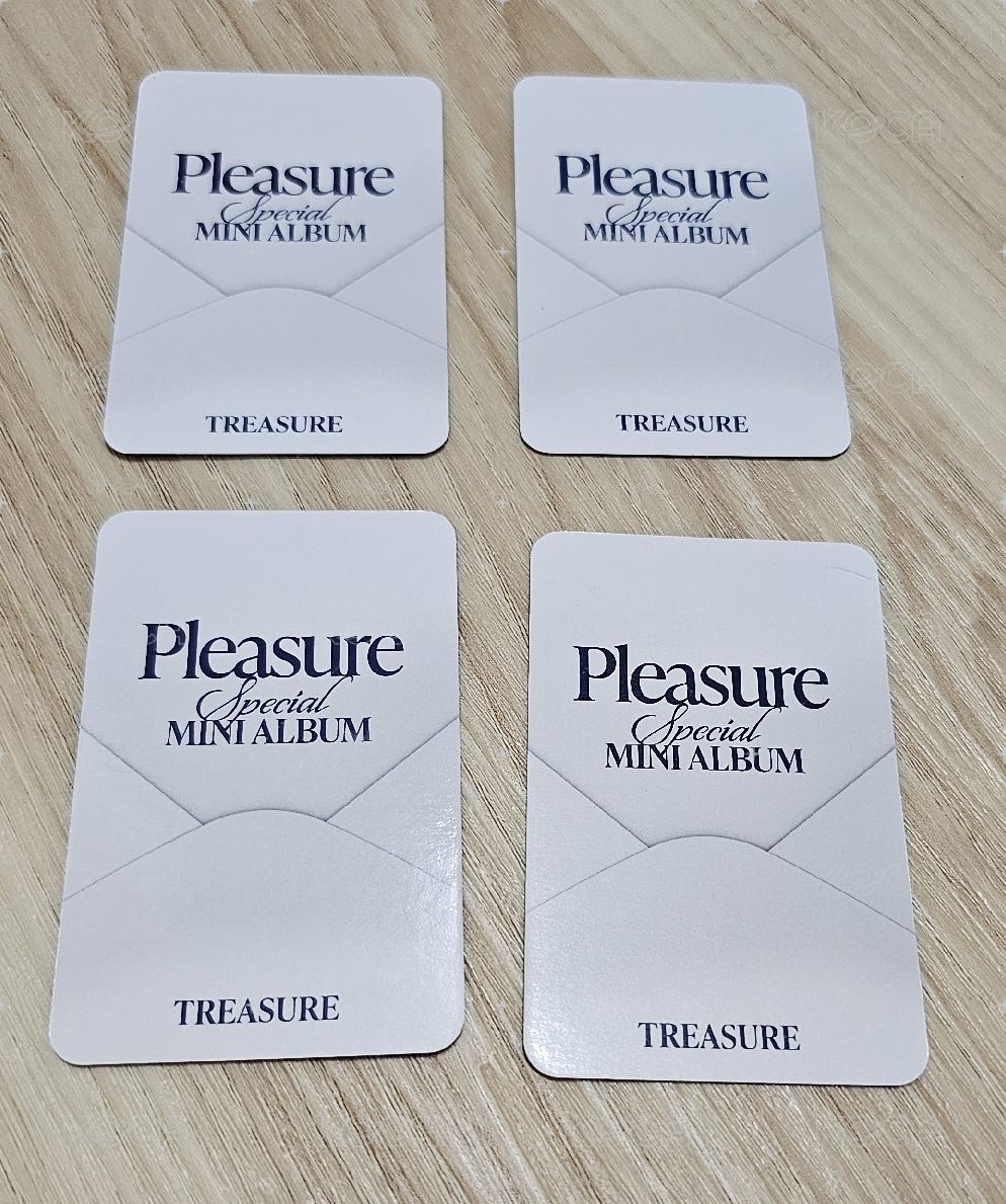 TREASURE PLEASURE 