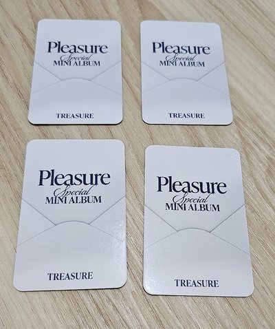 TREASURE PLEASURE 