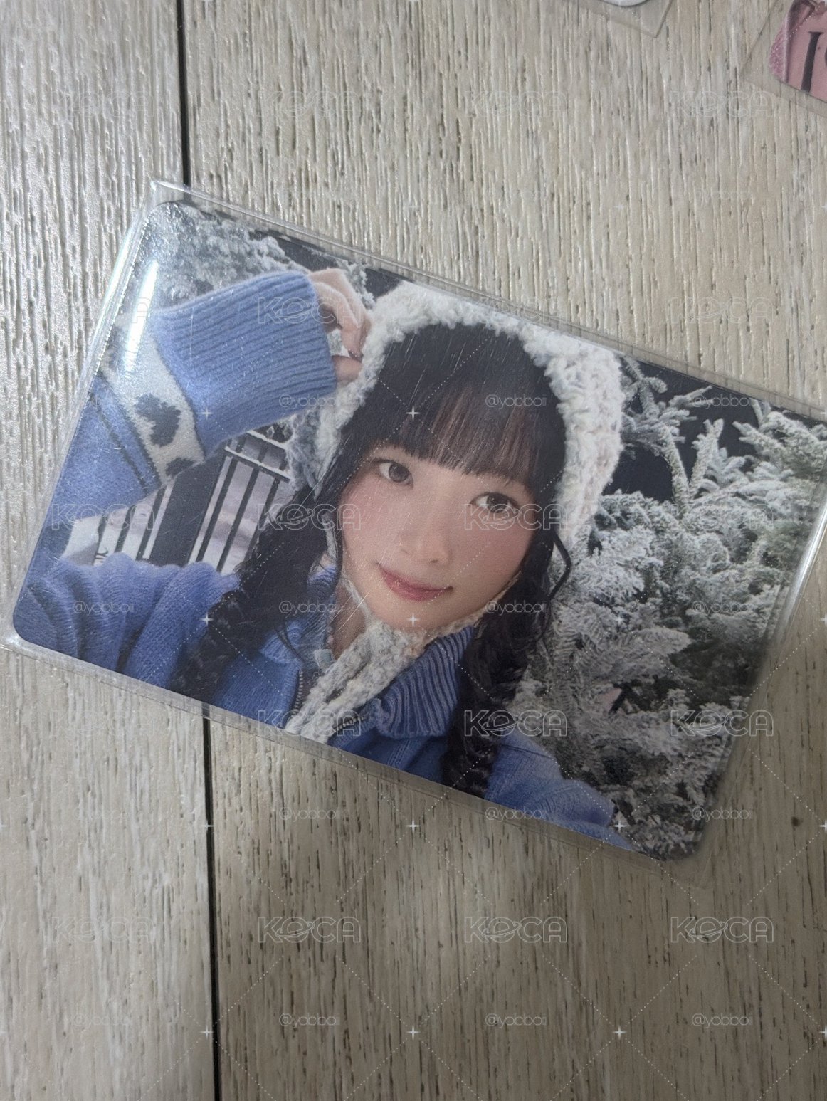 雪景怜