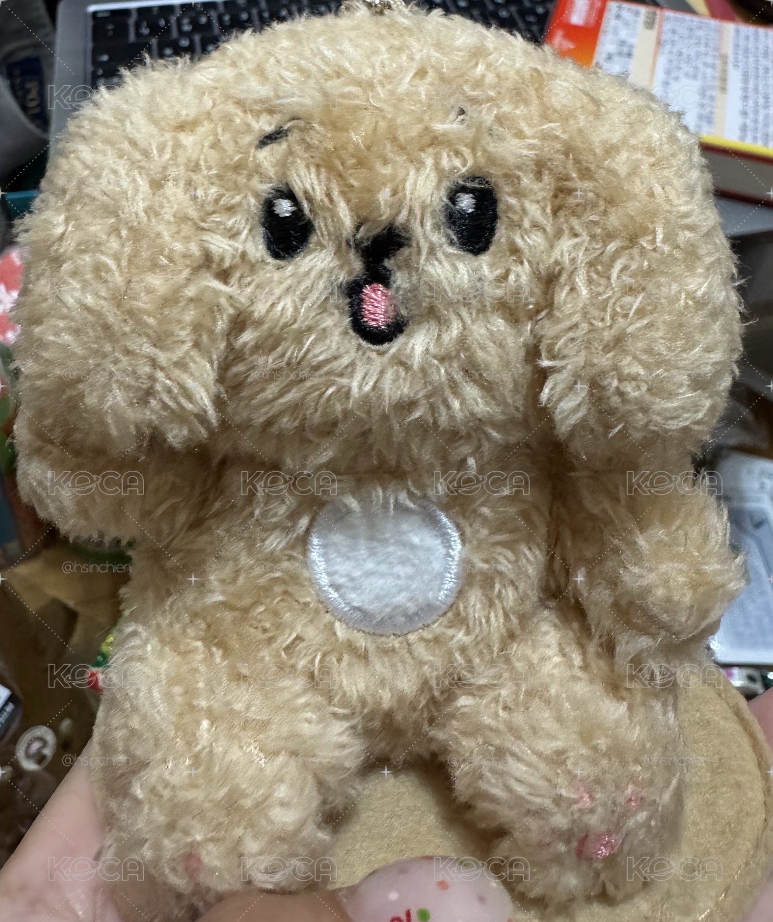 碩坐娃