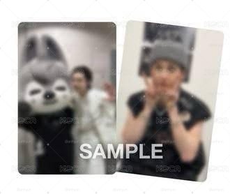 Search image
