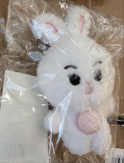 銀赫 影像會 fromm 娃娃玩偶 