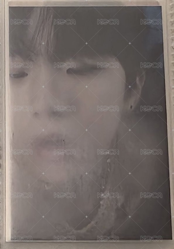 WHY環球預售