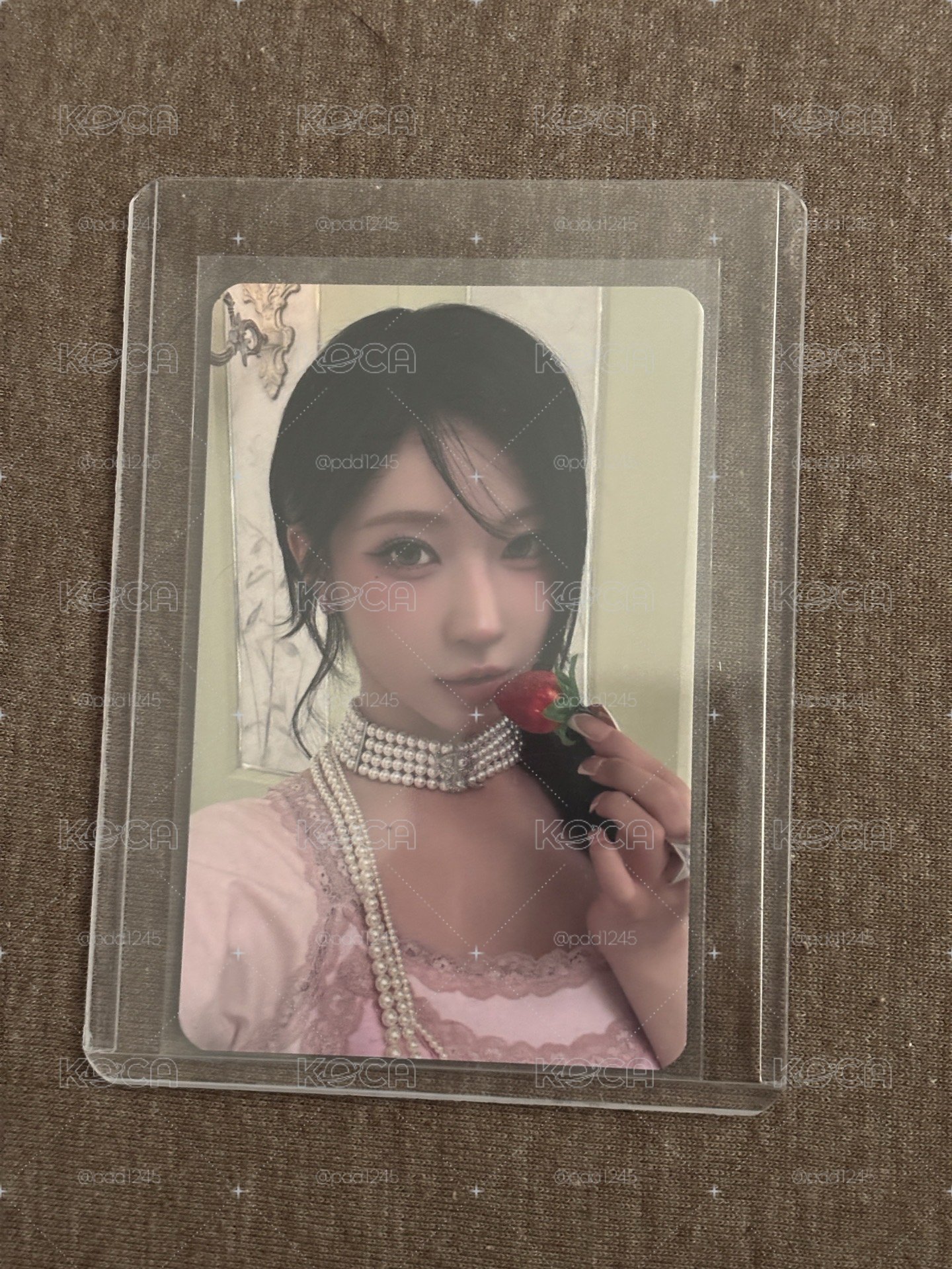 S.H.I.T MS特典 角（客訂勿下）