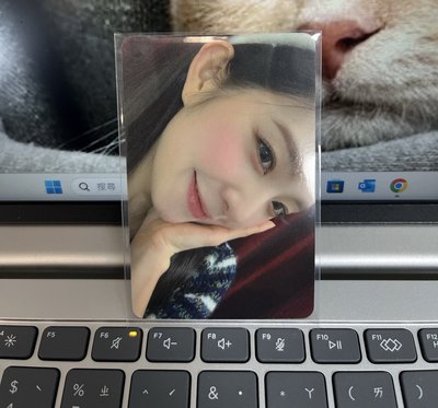裴琳琳