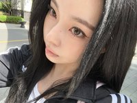 張圭貓