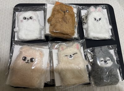 3rd 世巡 日本場周 手指套娃