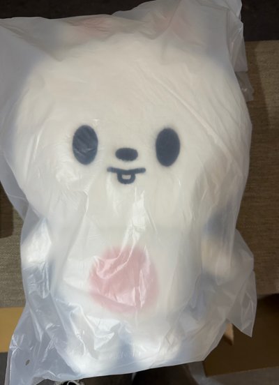 SKZ 李畢帕皮後背娃 僅拆檢