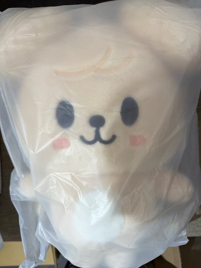 SKZ 李畢帕皮後背娃 僅拆檢