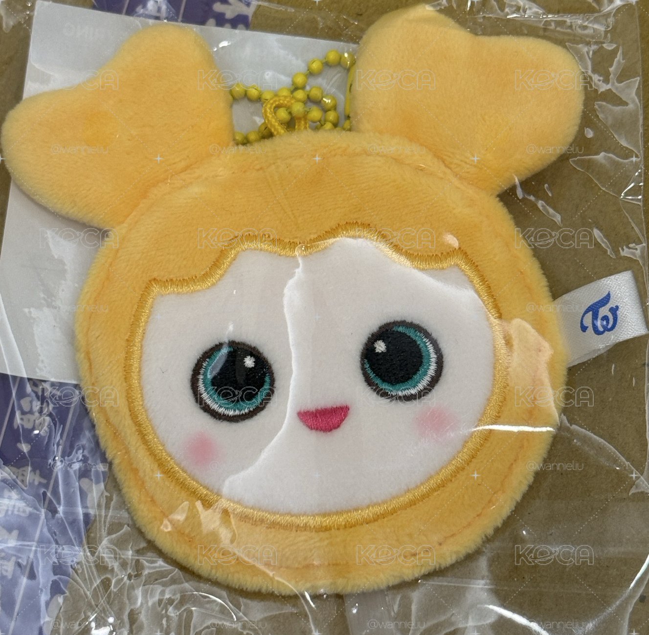 TWICE 安口場 小扇 定效紗 現貨