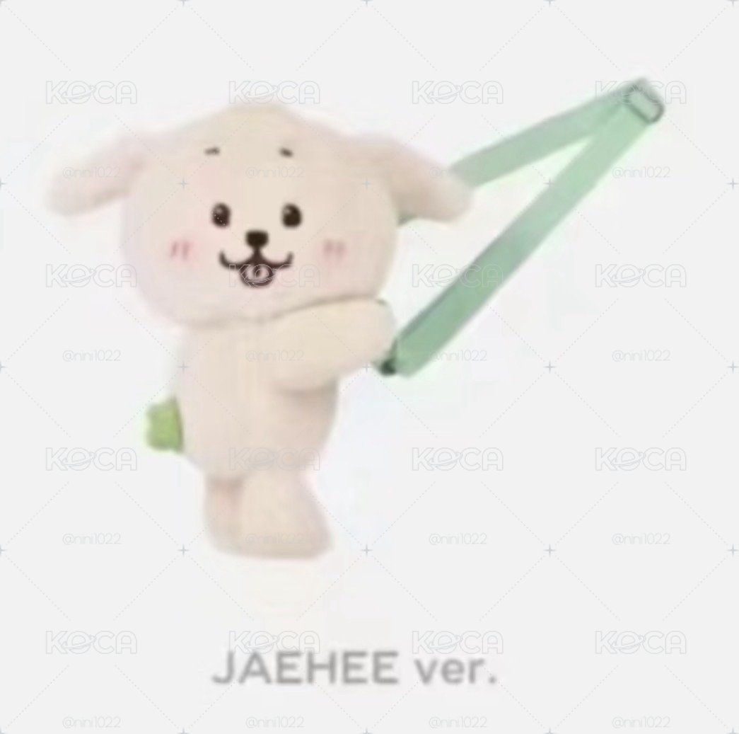 叮特里娃包