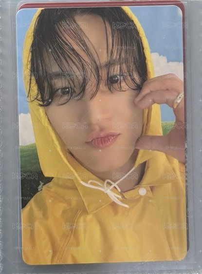 雨衣愛心奎🐶