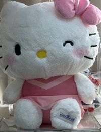 2026 三麗鷗角色大賞 第1彈 特大娃 粉色連衣裙