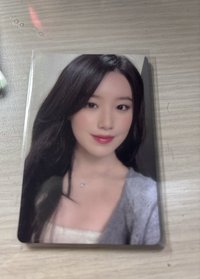 灰衣刷