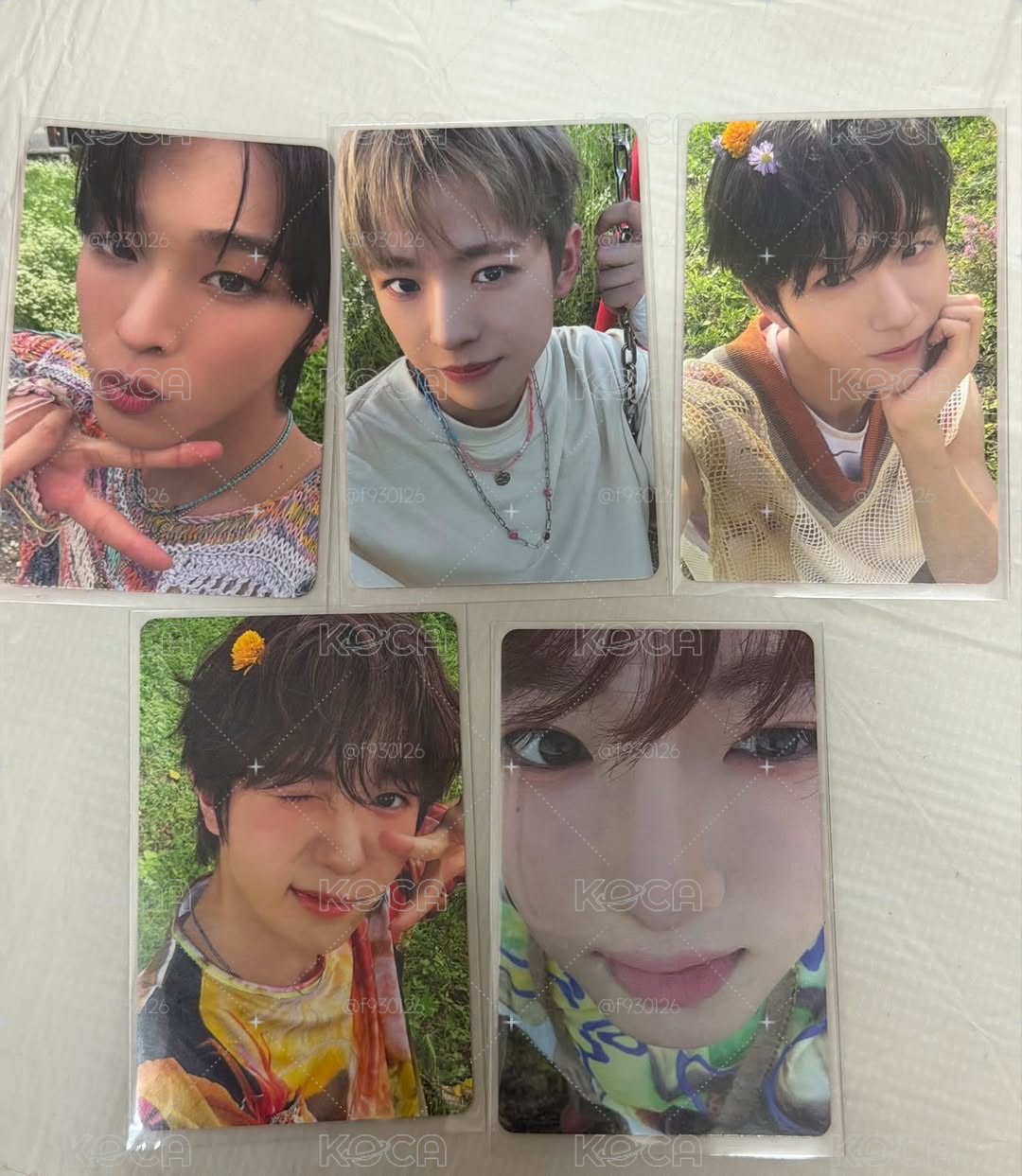 Nct Wish-Color專卡