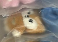 秀 手燈環
