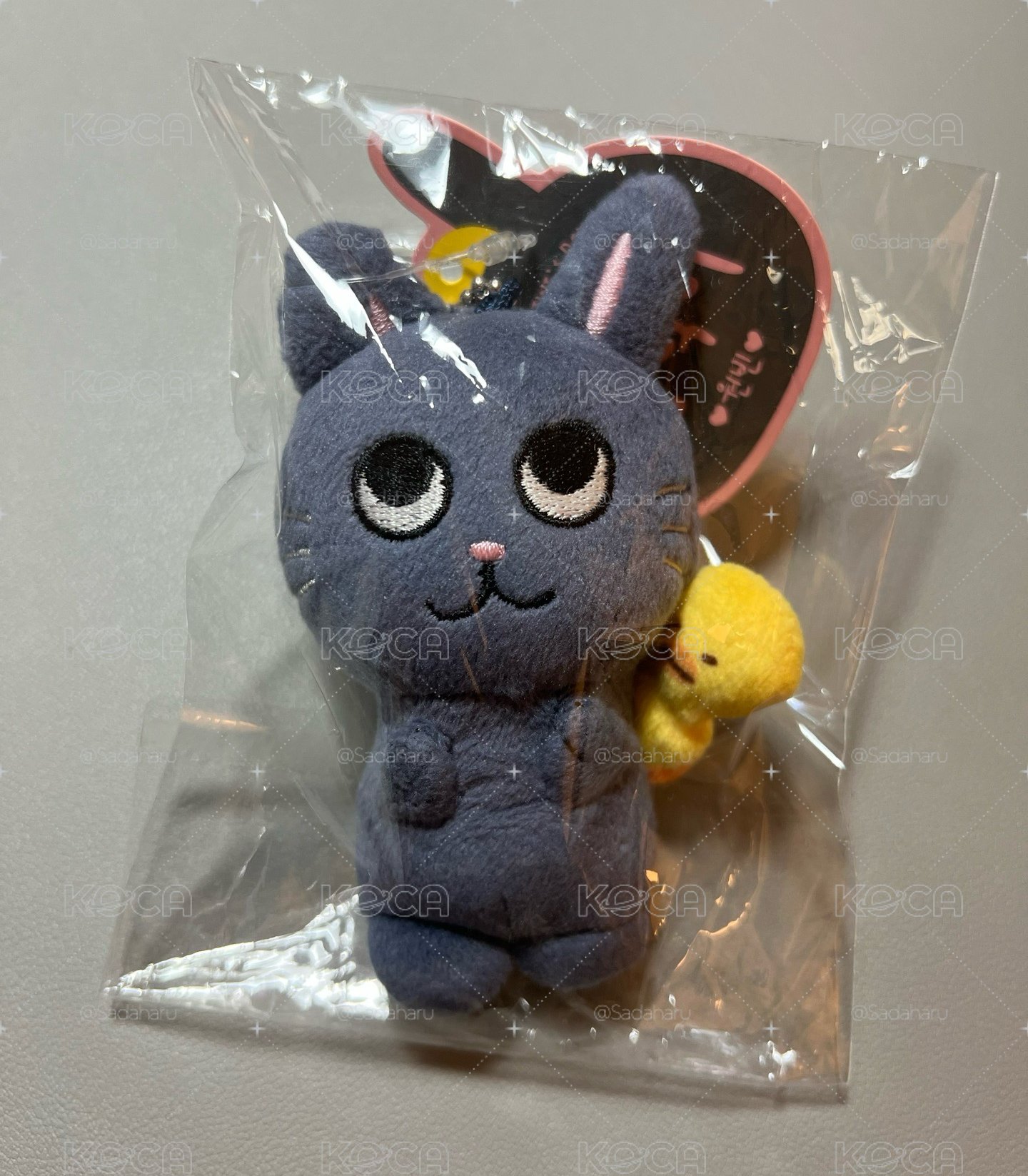 RIIZE 情人節原皮兔喵鴨