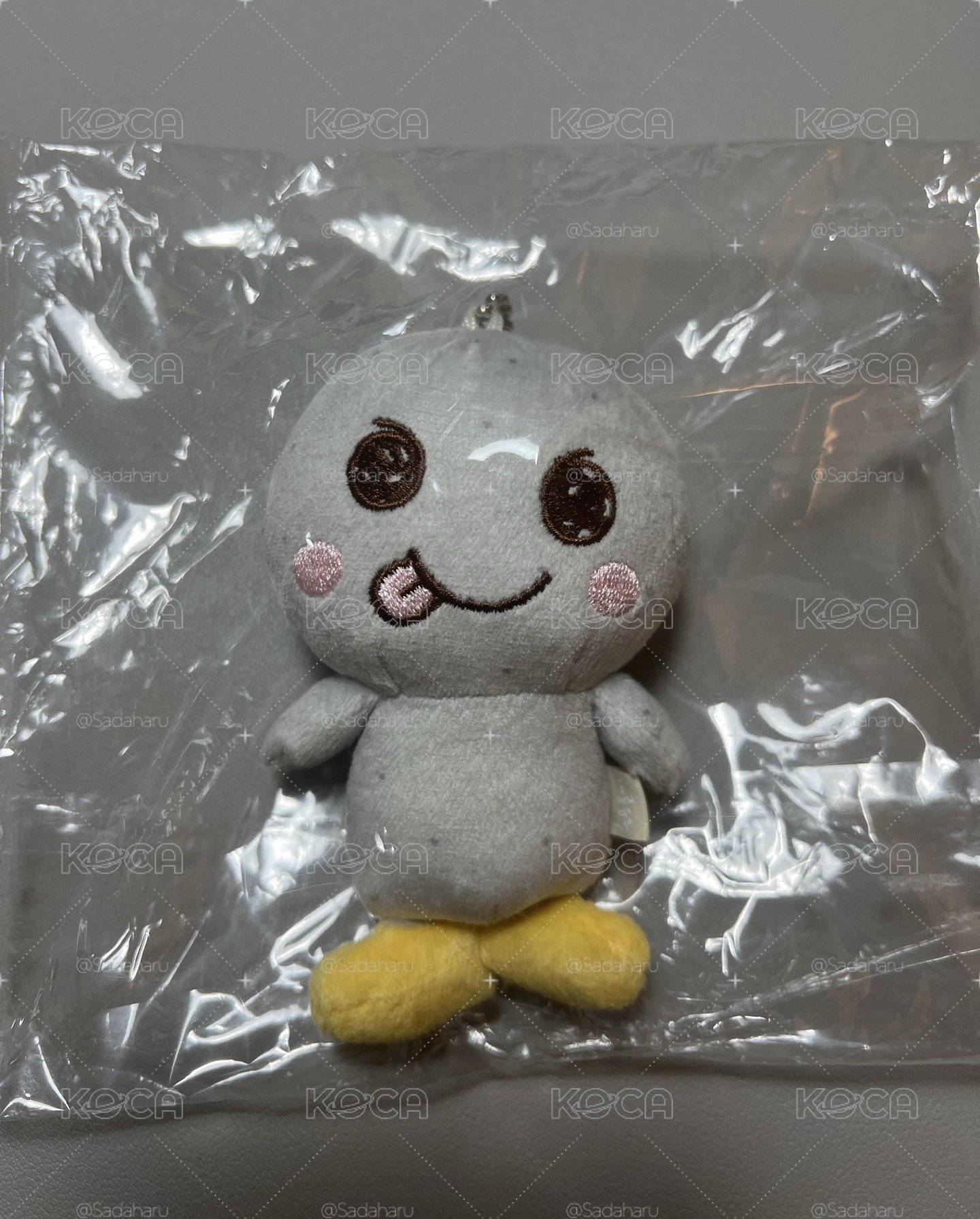 RIIZE 情人節原皮宋龍石