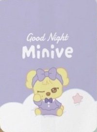 MINIVE X MintRaon 行李吊牌 