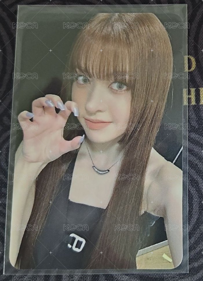 單張莉