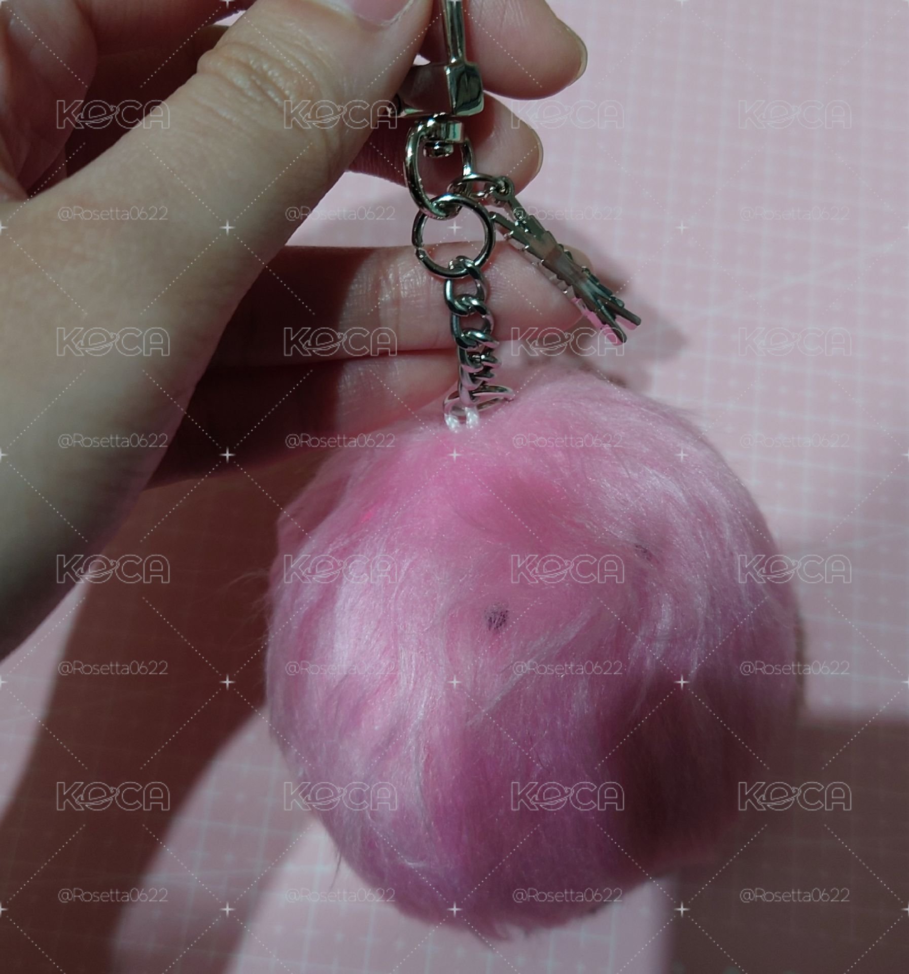 CRAZY JP 鑰匙圈吊飾 櫻花 MONSTER KEYRING