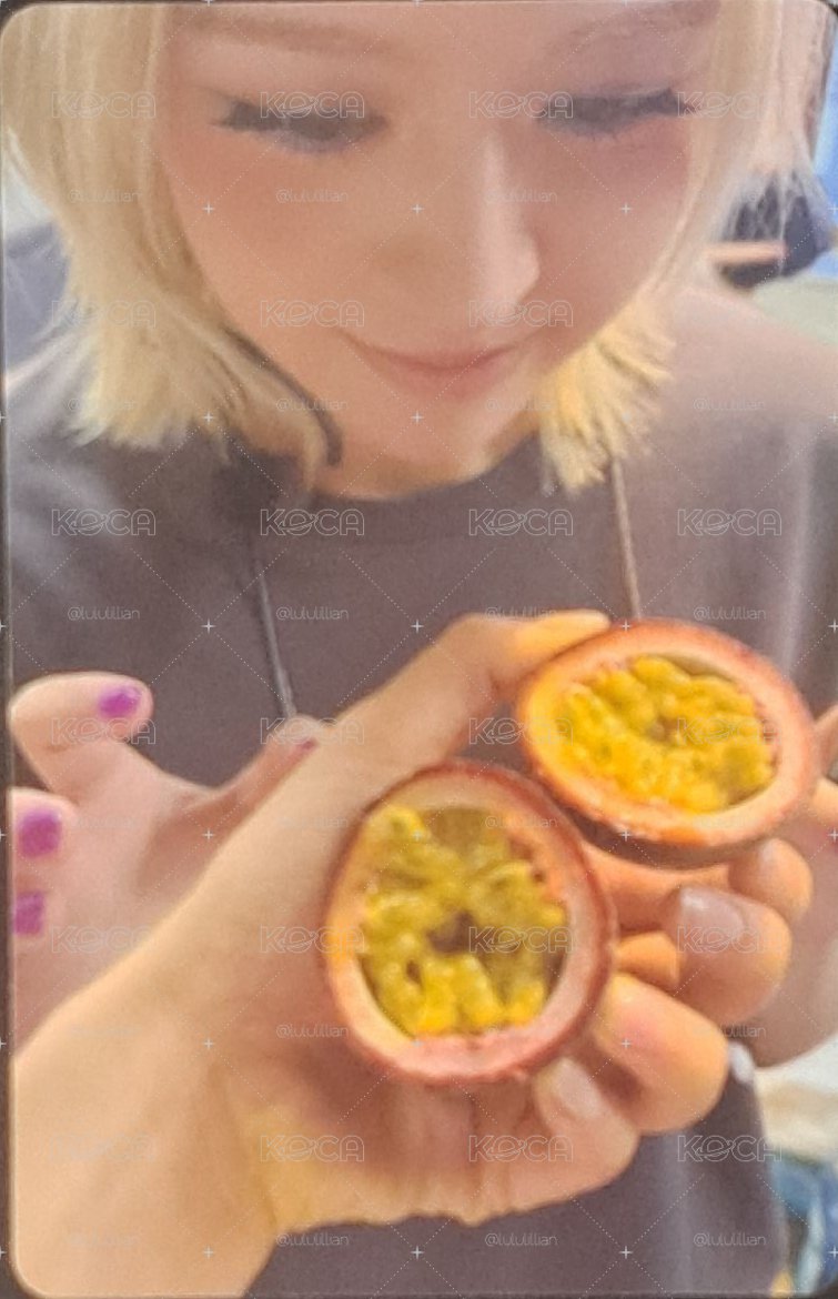 百香果 莉