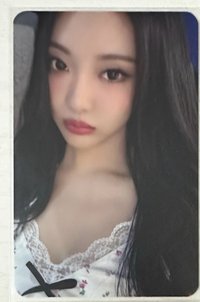 超美的一張小貓🐱