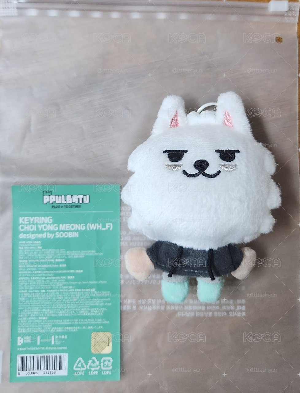 原皮猛 