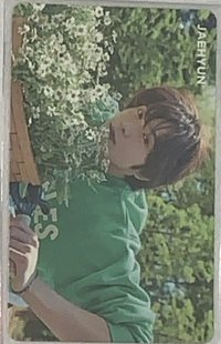自然樂園 代言卡 洋甘菊