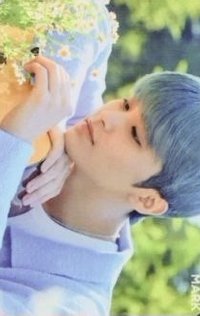 自然樂園 代言卡 洋甘菊
