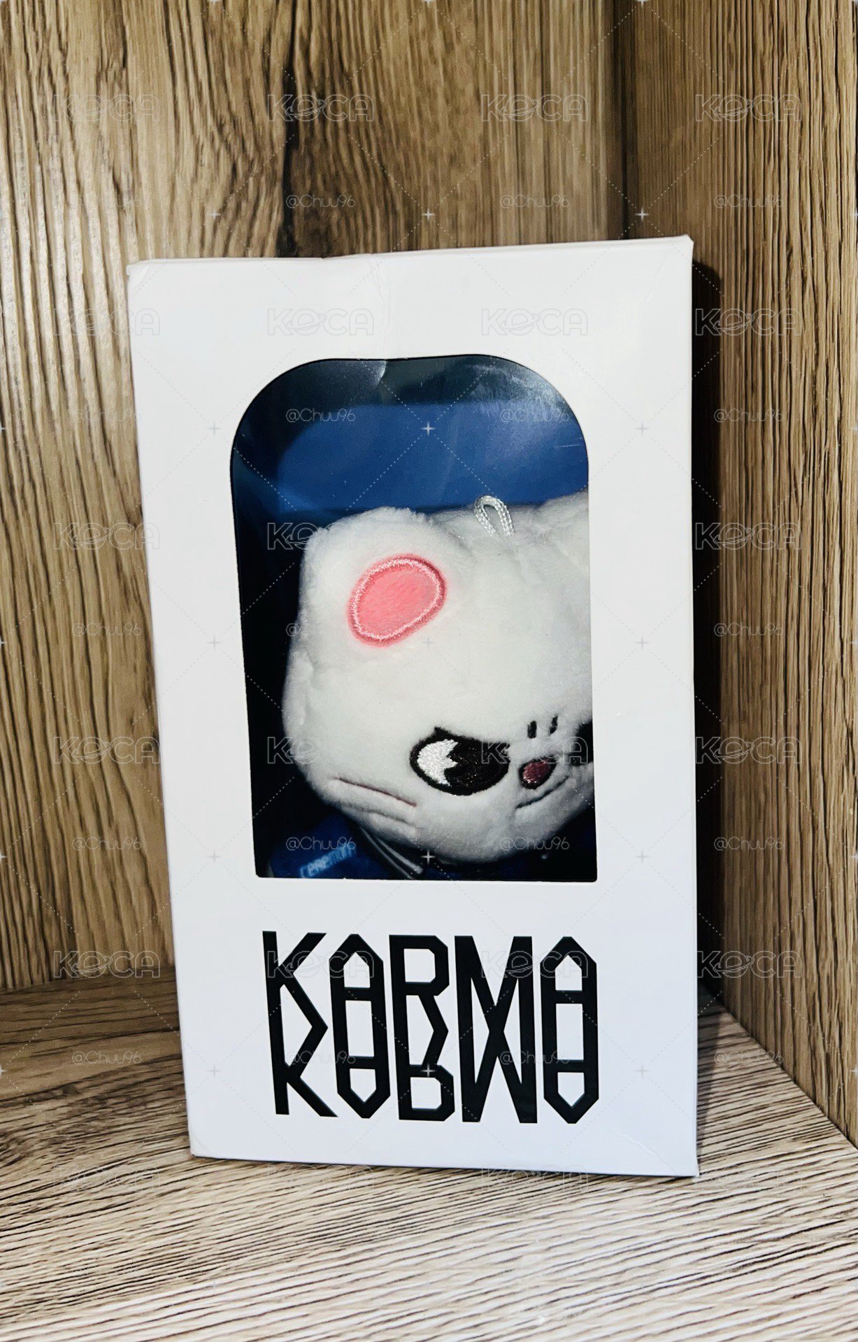 SKZ KARMA 娃專 辰