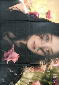 HER 粉版 海報 