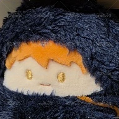 日向