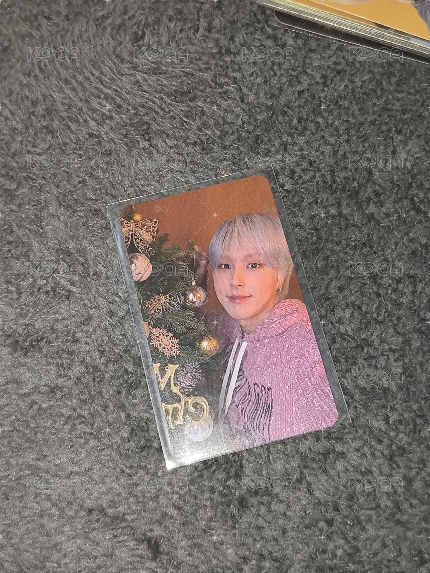 聖誕樹倉鼠