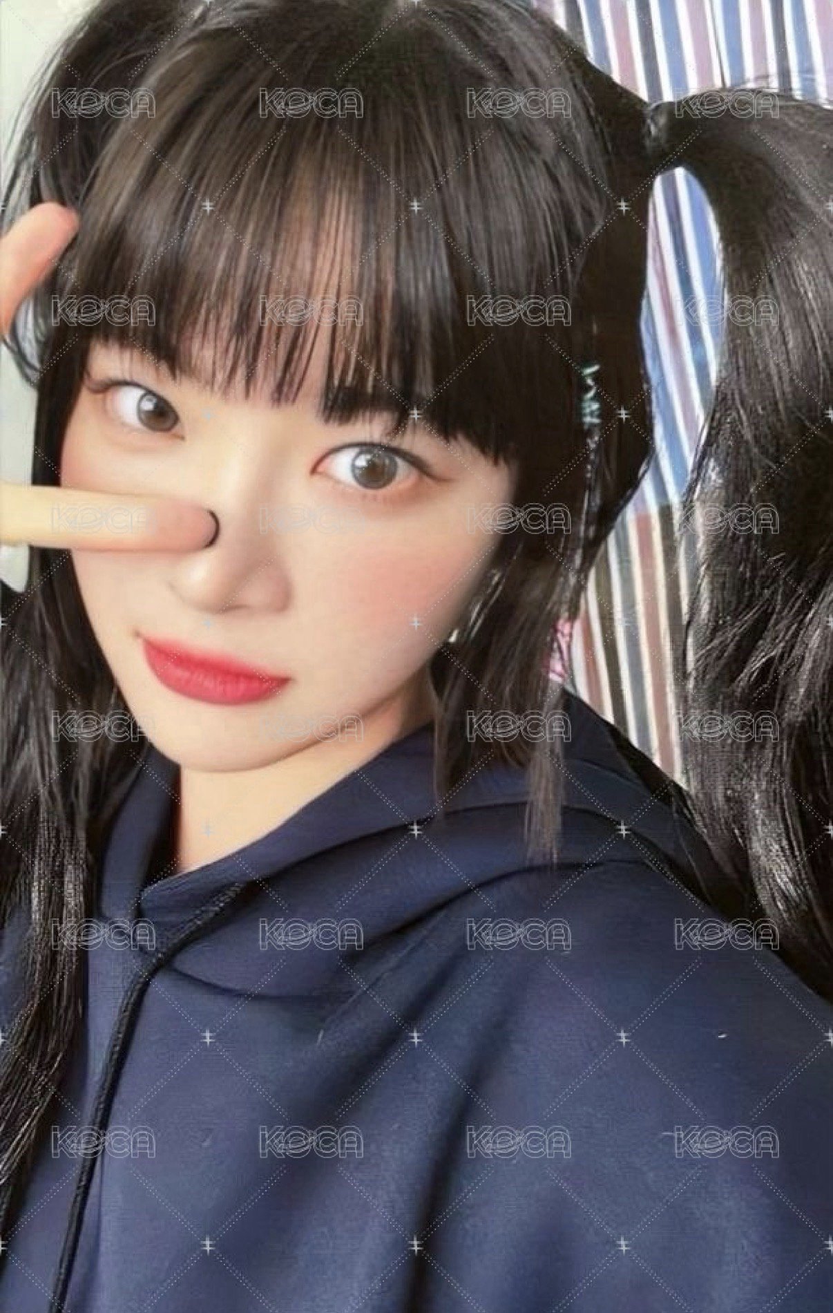 楠藝