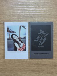 茶