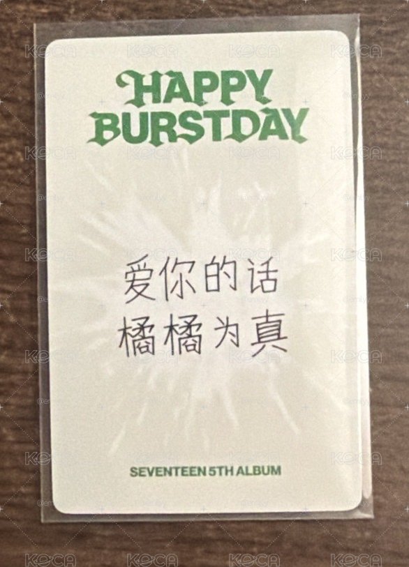 夫碩順 正五 中背