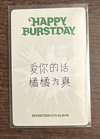 夫碩順 正五 中背