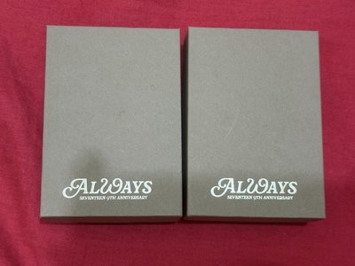 SEVENTEEN 九週年周邊 項鍊 知秀 淨漢