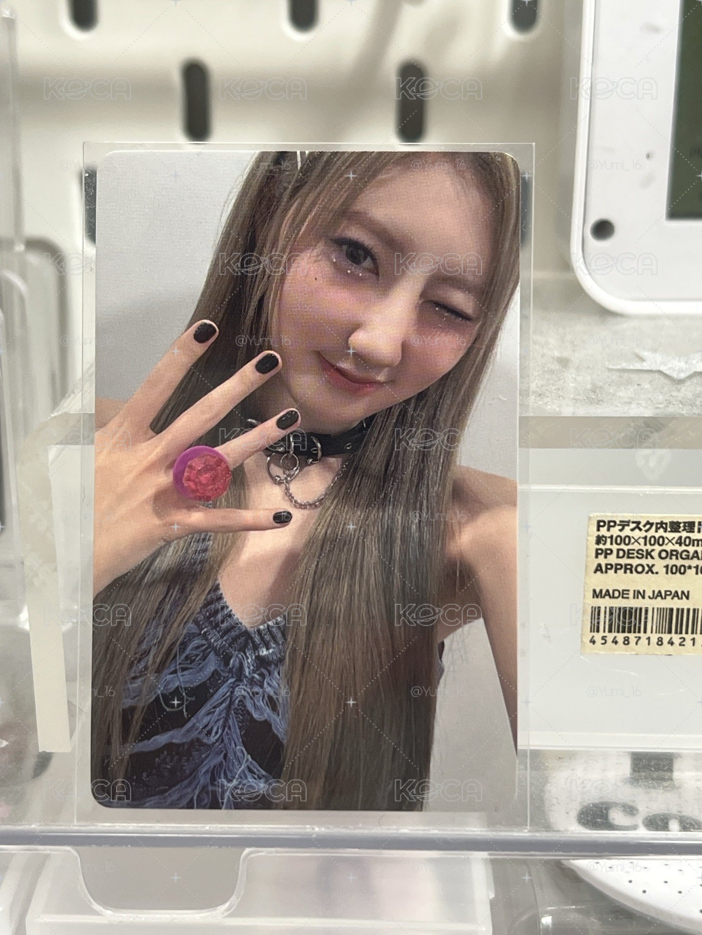 玫瑰日藍