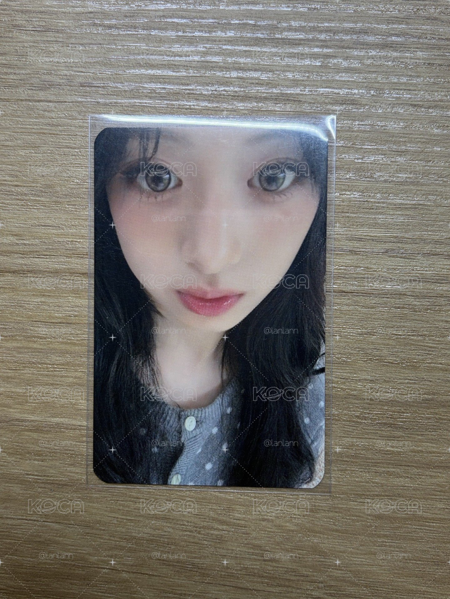 大眼萌萌萌萌賢