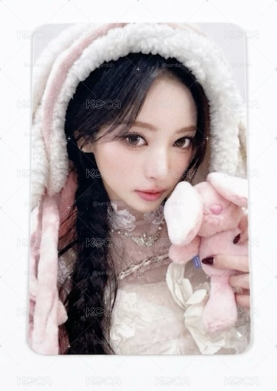 hl 兔毯 Anna
