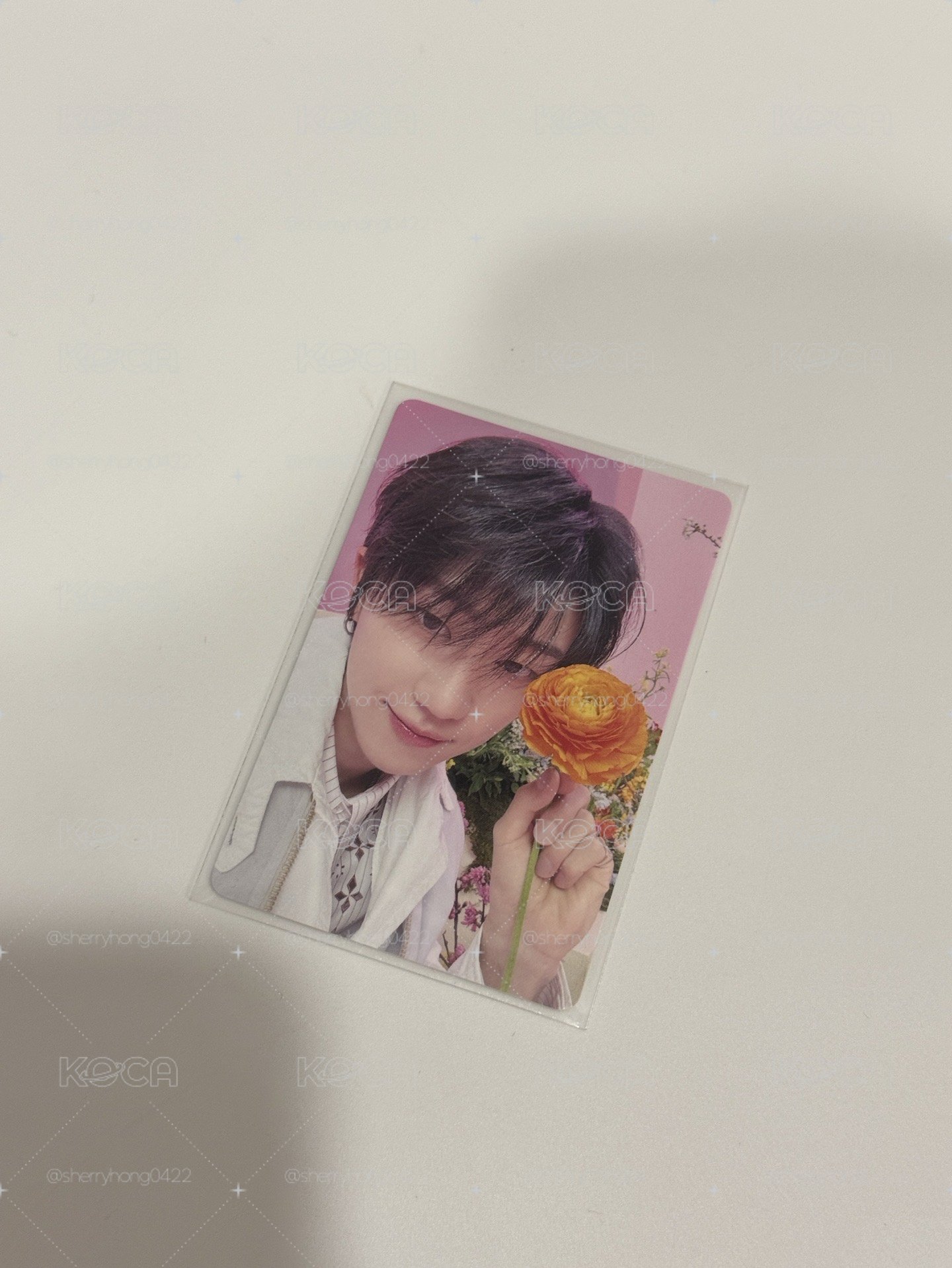 FLASH ver 八