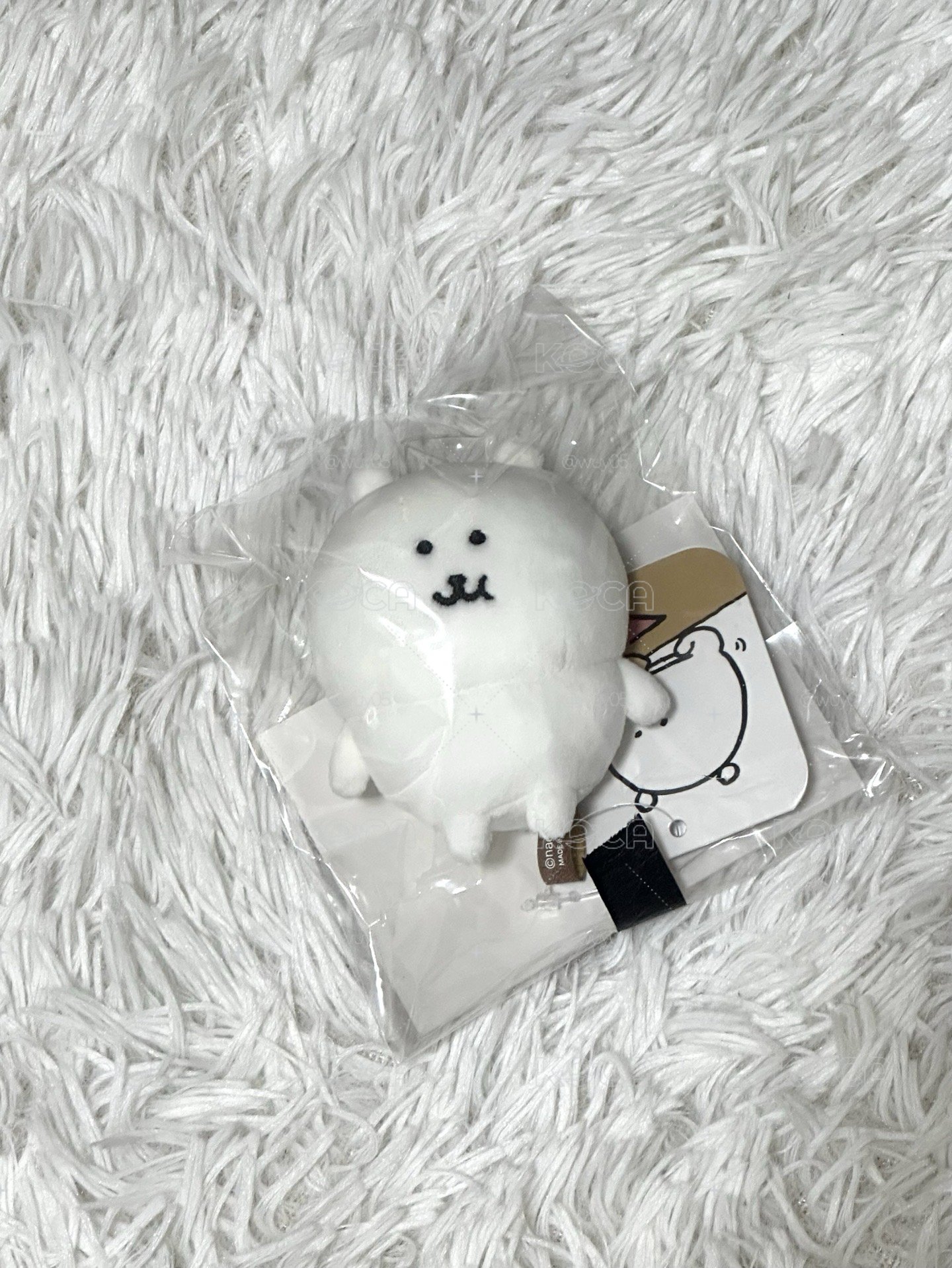 咀嚼熊（現貨）